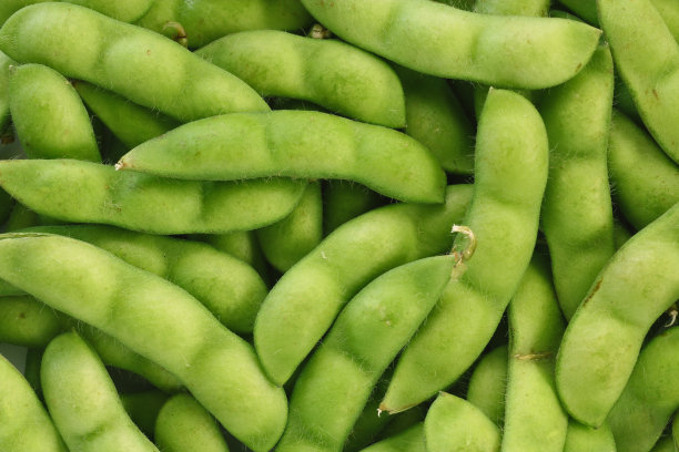 大豆图片素材ID：134782156