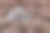癌细胞在健康的干细胞中扩散素材图片