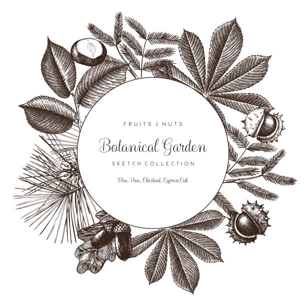 矢量树木花环图片下载