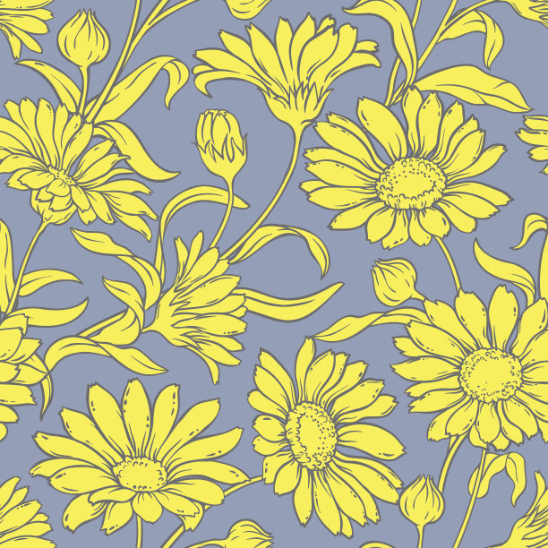 金盏花矢量无缝花纹素材图片