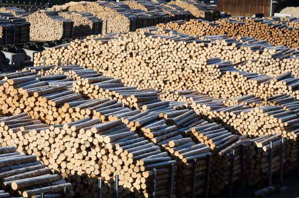 贮木场图片下载