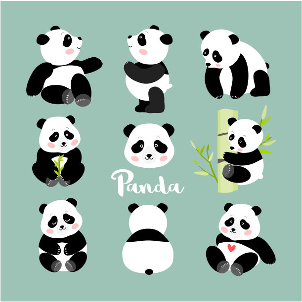 一组熊猫幼仔的姿势图片下载