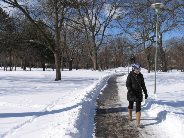 阳光明媚的冬日图片下载