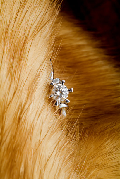 皮草和珠宝饰品图片下载