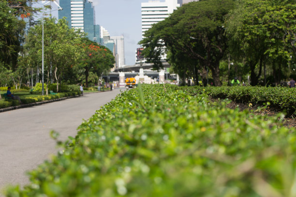 公园出口到市区的街道图片下载