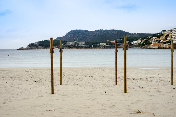 海滩上的木杆图片下载