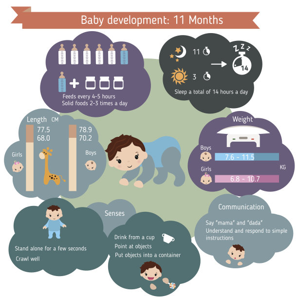Сhild发展信息图图片下载