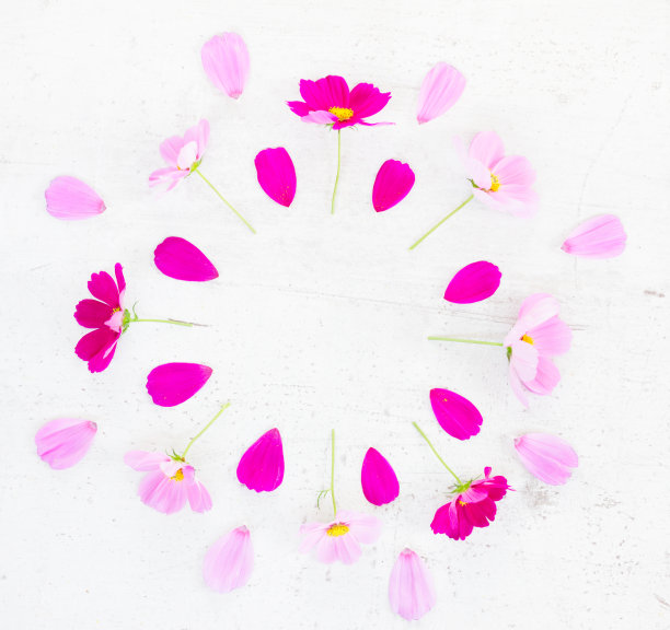 宇宙粉色花朵图片下载