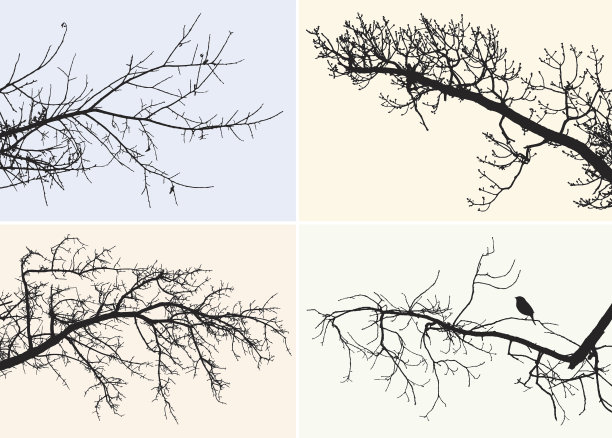 不同树枝的剪影图片下载