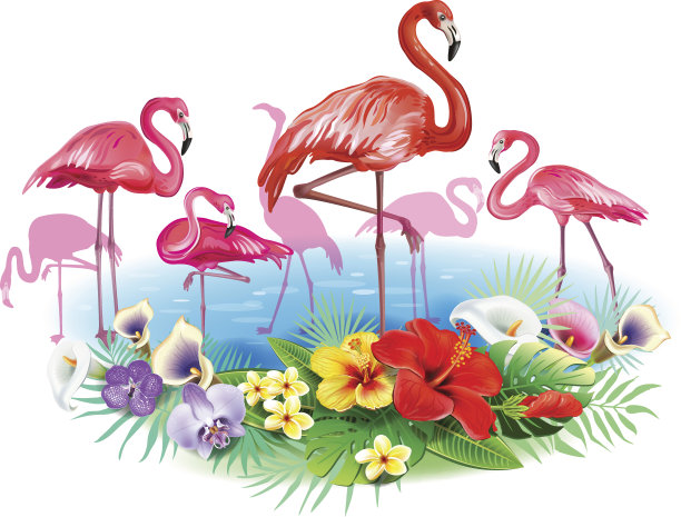 火烈鸟和热带花的安排图片下载