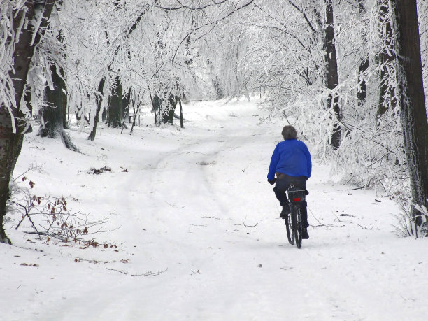 雪娱乐图片下载
