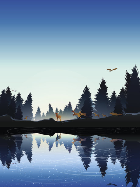 动物在松林附近的湖在中午素材图片