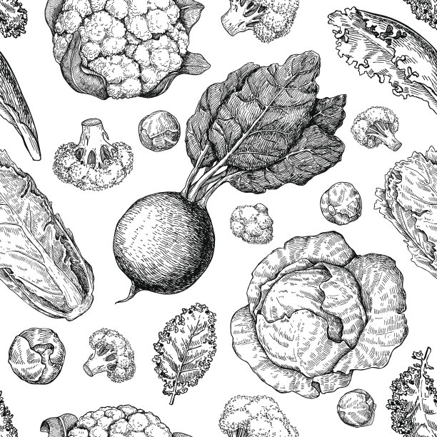 蔬菜绘制无缝矢量图案。农业市场产品。图片下载