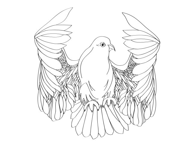 自由飞翔。孤立的矢量在白色背景图片下载