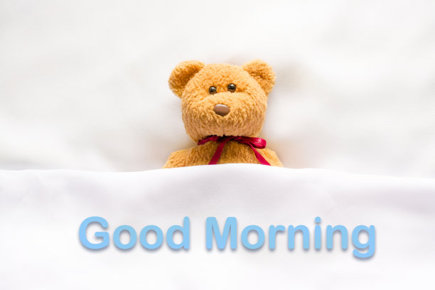 带着“早上好”短信的泰迪熊图片下载