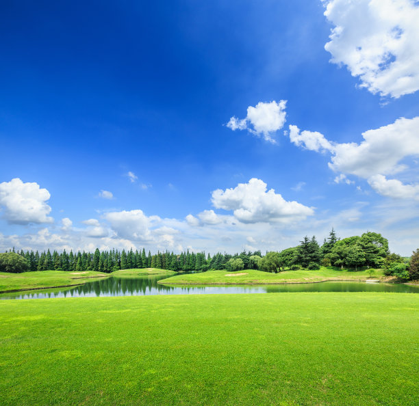 在夏天的一天，绿色的草地和蓝色的天空图片下载