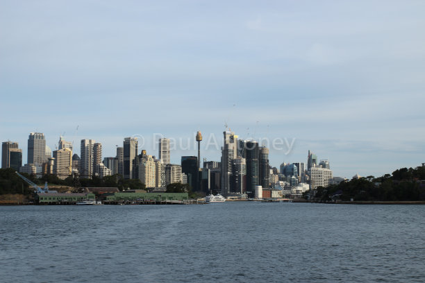 从河上看悉尼的景色图片下载