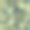 树叶图片素材ID：134902342