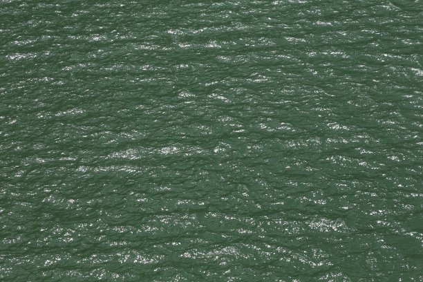 挥舞着水面图片下载