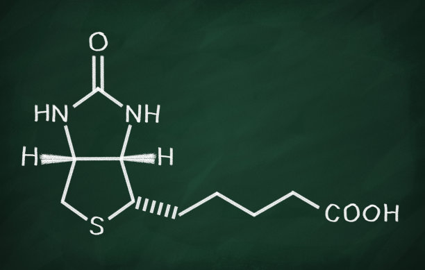 维生素B6（生物素）的结构模型图片下载
