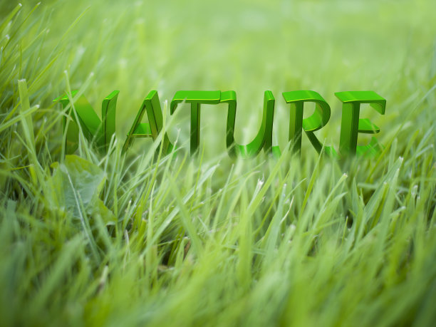 大自然的话在绿草地上图片下载