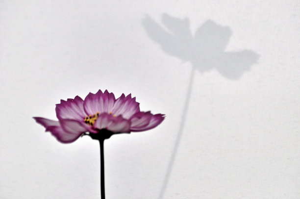 有阴影的宇宙。图片下载