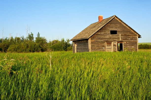 草地上的废弃房子图片下载