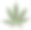 在白色背景上分离的大麻叶。图片下载