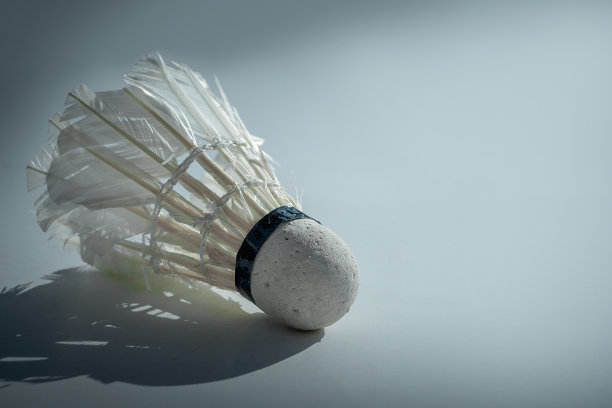 用羽毛球图片下载