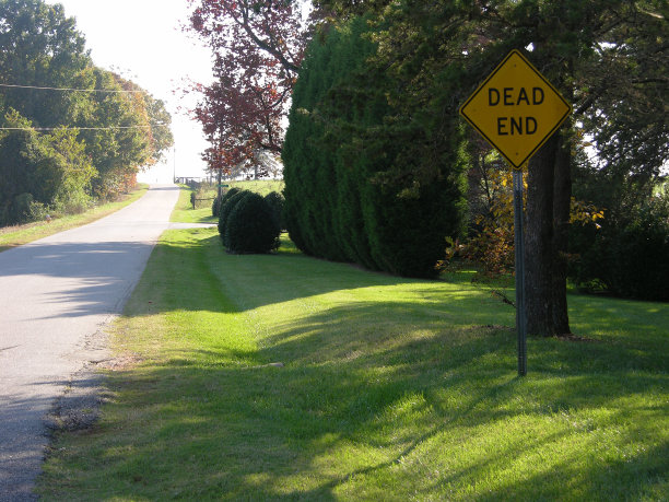 在街上图片下载