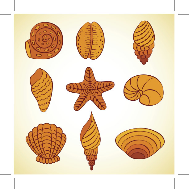 鹦鹉螺贝壳。向量。图片下载