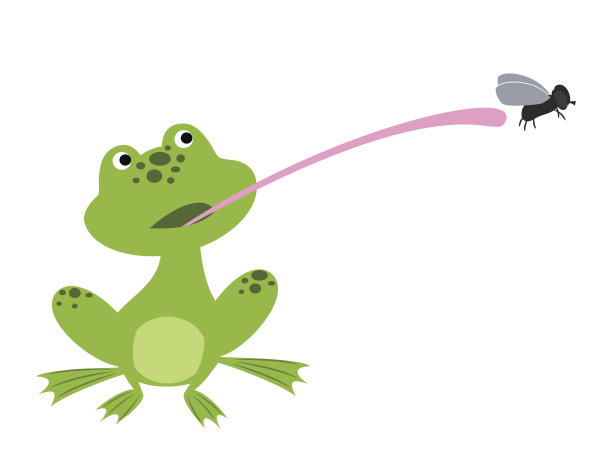 青蛙捉苍蝇图片下载