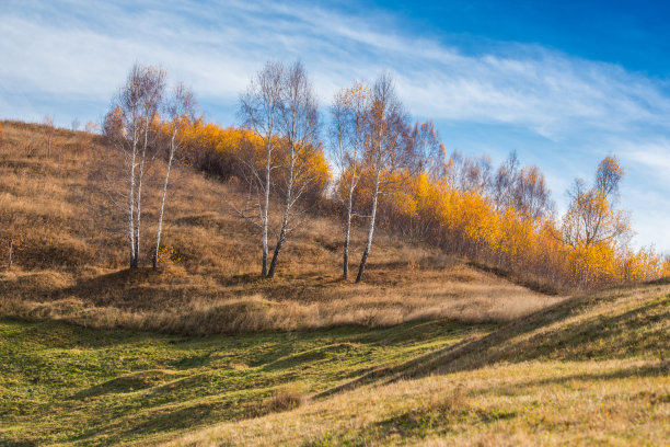 农村的秋景图片下载