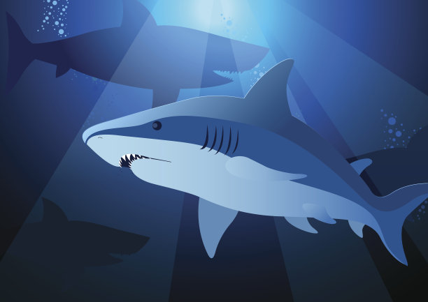 鲨鱼在阳光下游泳素材图片