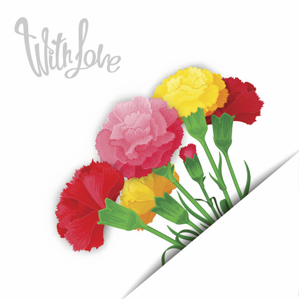 优雅的向量花束与爱素材图片