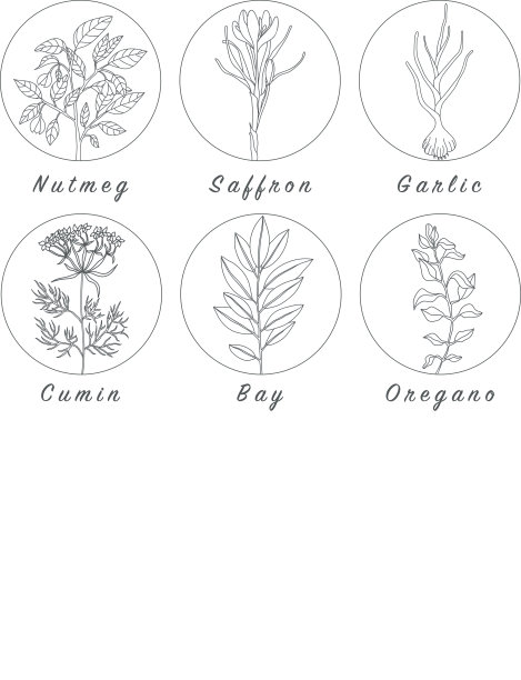 一套香料，药草和officinale植物图标。治疗植物图片下载