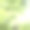 树叶图片素材ID：135076498