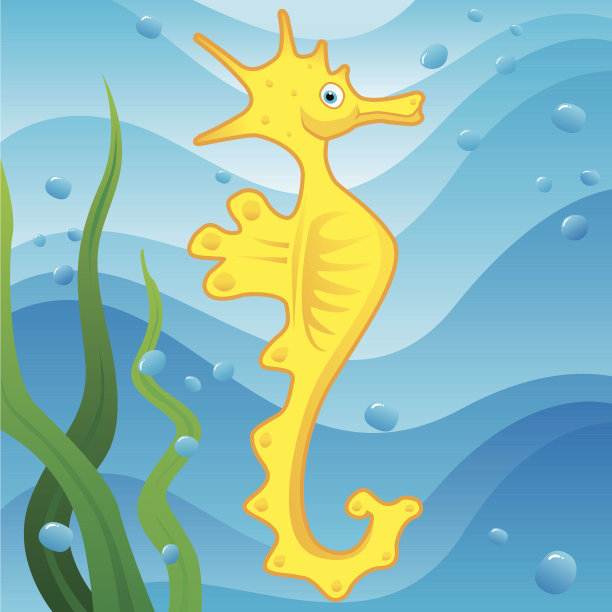 可爱的小海马图片下载