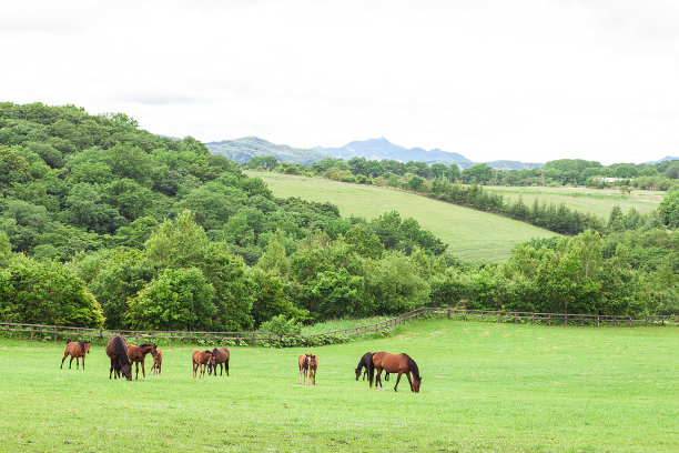 马父母和孩子图片下载