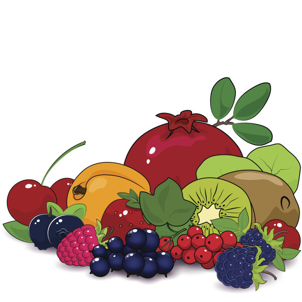 夏季水果和浆果图片下载