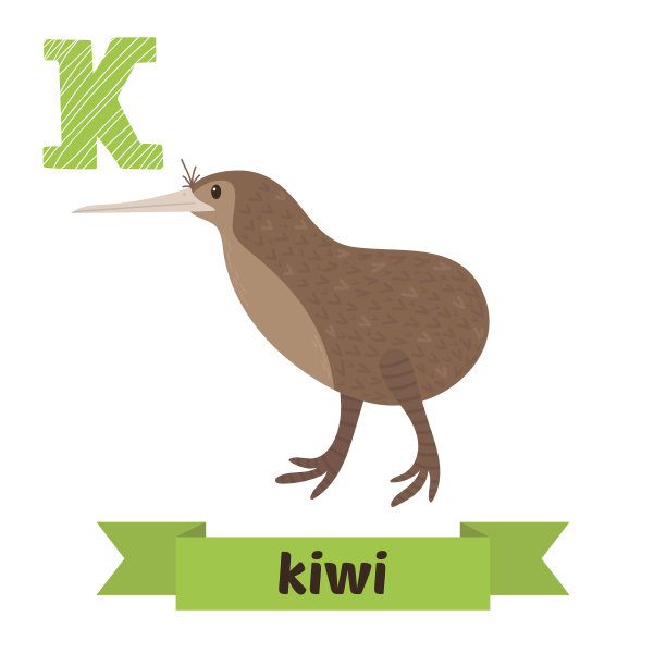 猕猴桃。K的信。可爱的儿童动物字母向量。有趣的图片下载