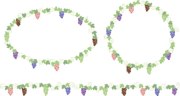 帧的葡萄图片下载