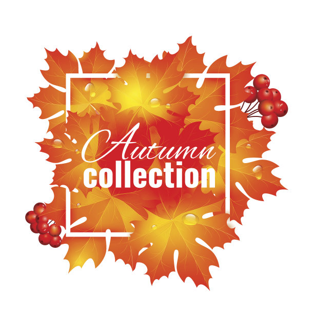 秋季拍卖收藏图片下载