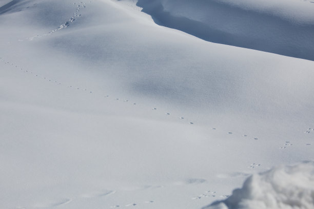 冬天的风景图片下载