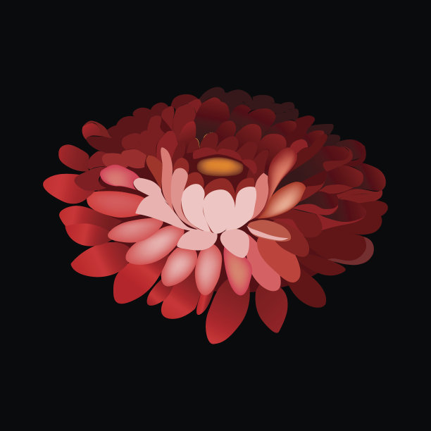 花元素的黑色背景。图片下载