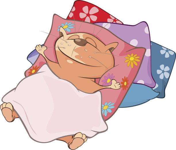 可爱的猫插图。卡通人物图片下载