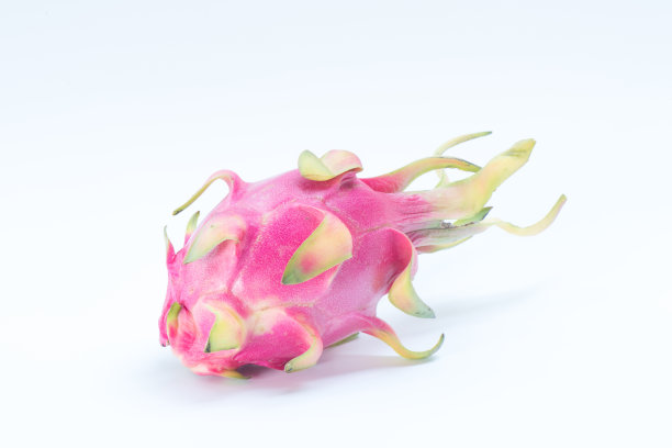 火龙果孤立在白色背景上图片下载