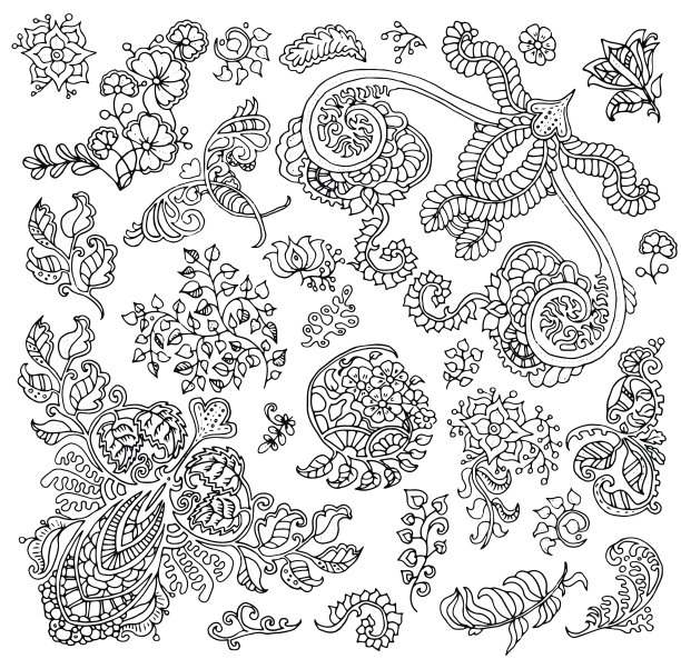 设计集孤立的黑白花卉图案图片下载