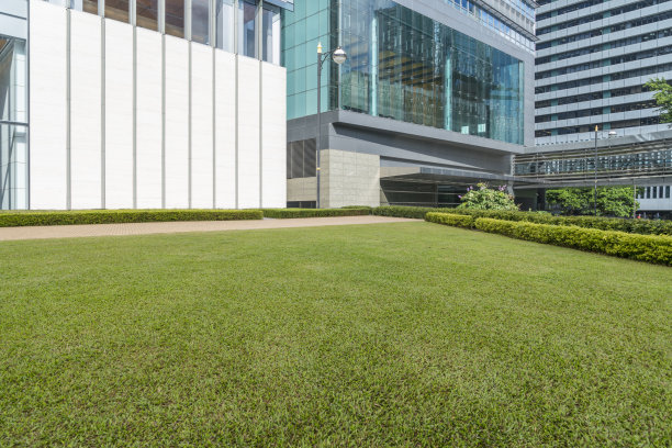 城市天际线前的绿色草坪视野开阔图片下载