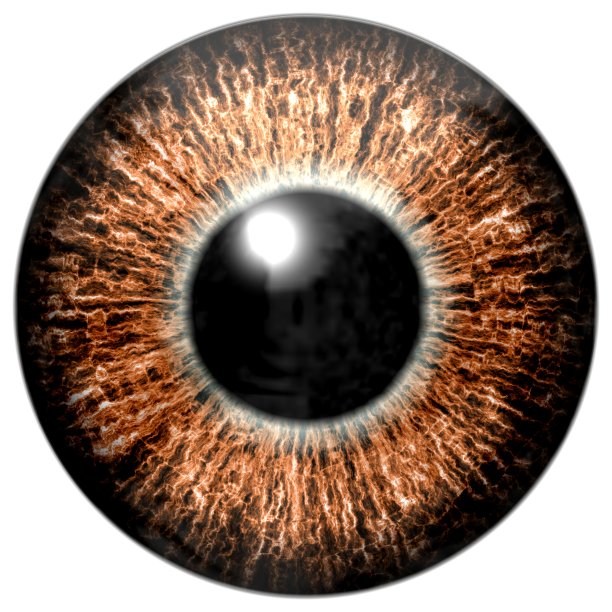 锐利迷人的深棕色眼睛纹理。图片下载